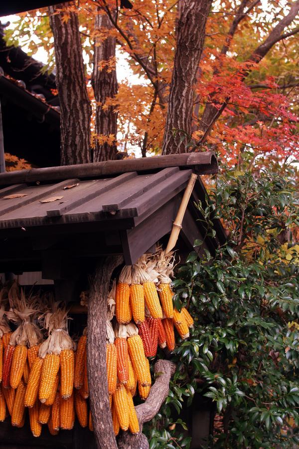 宿房あそ 阿蘇市 部屋 写真